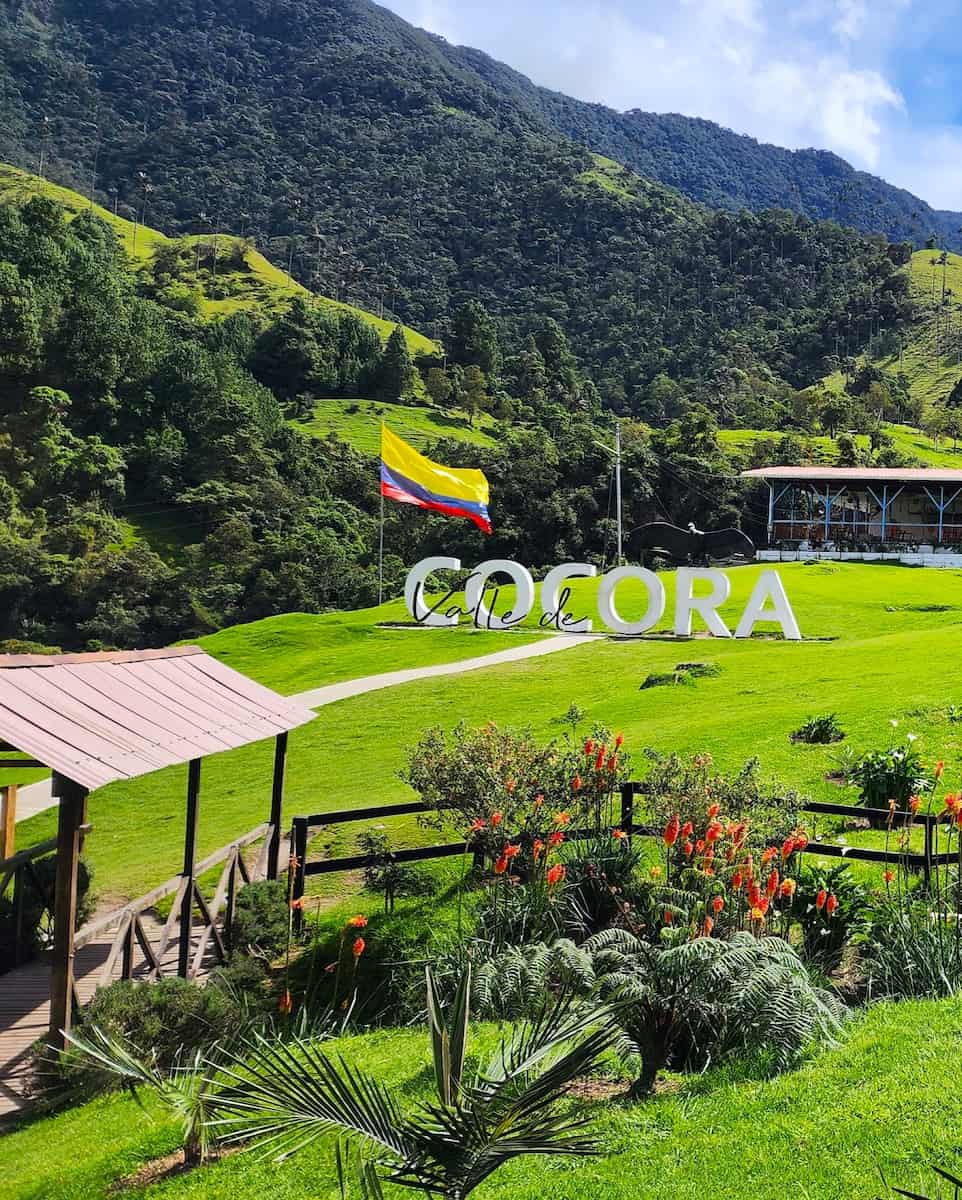 Cocora Valley, Salento Cocora Valley, Salento