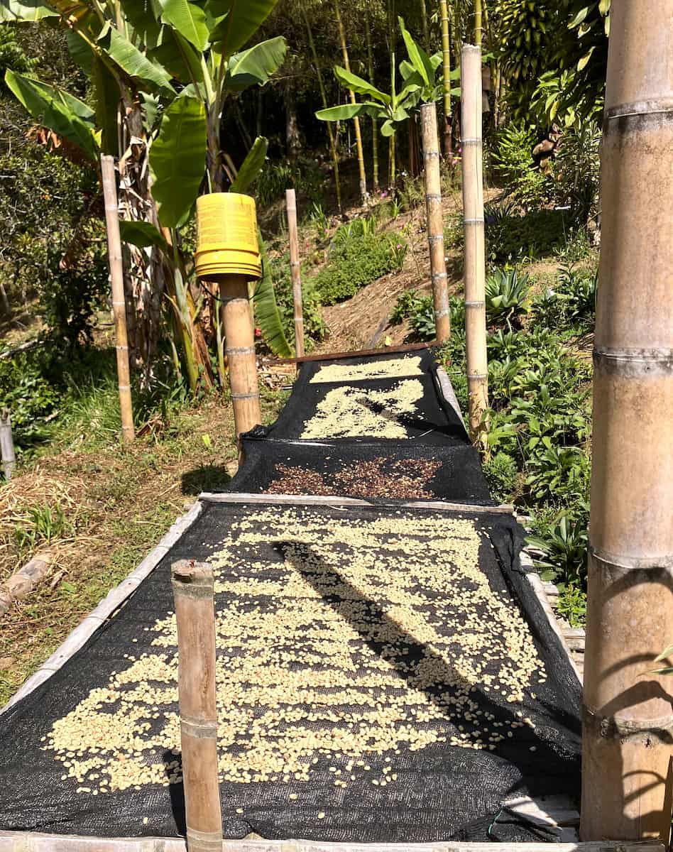 Finca Don Eduardo, Salento Finca Don Eduardo, Salento