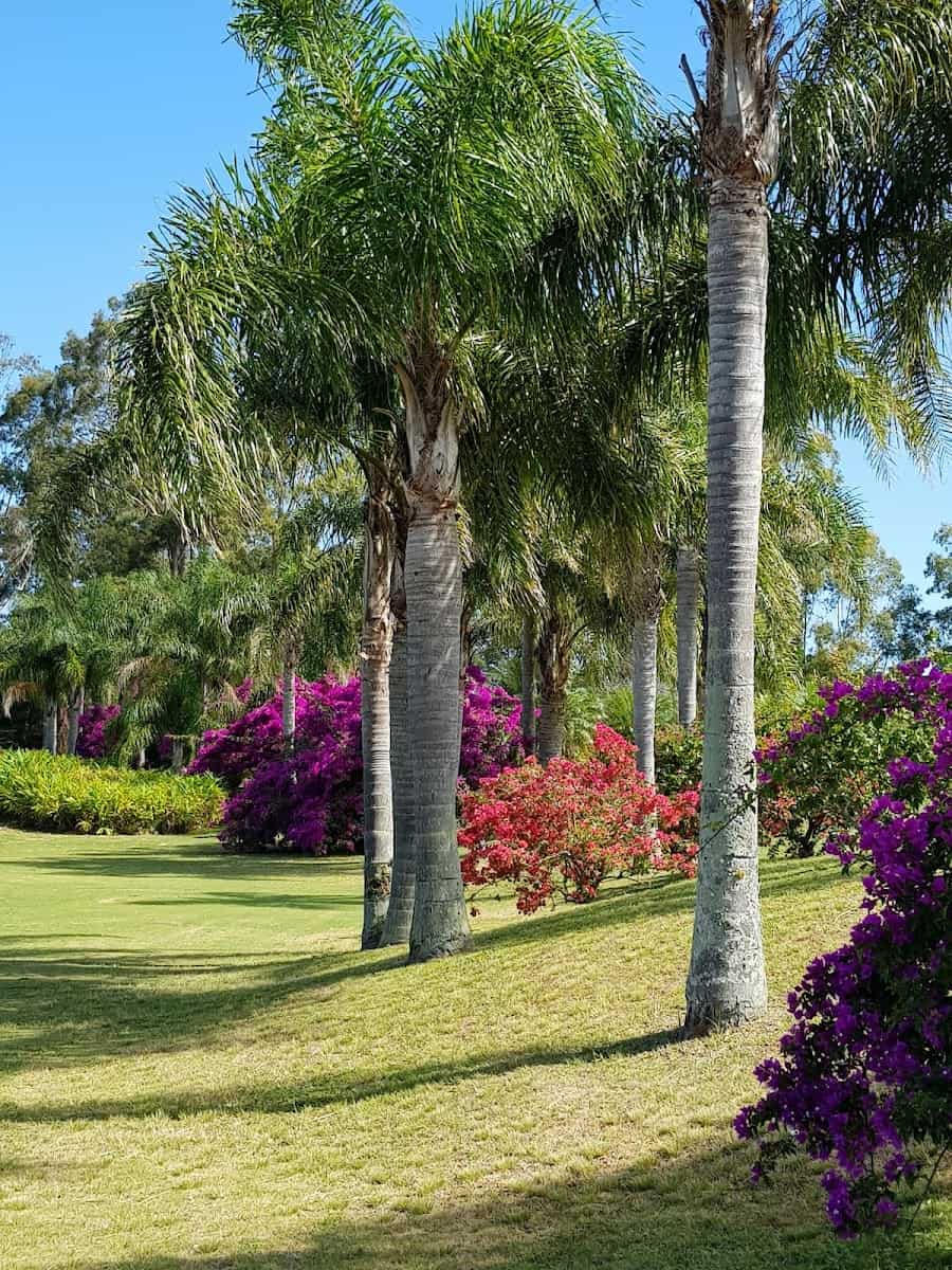 Golf Club, Florianopolis Golf Club, Florianopolis